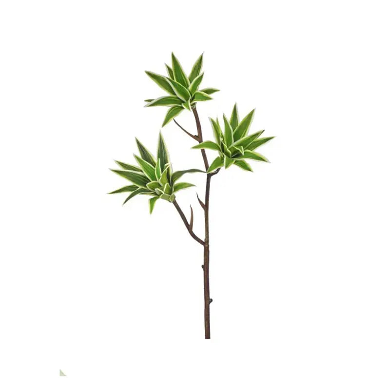 040408060118