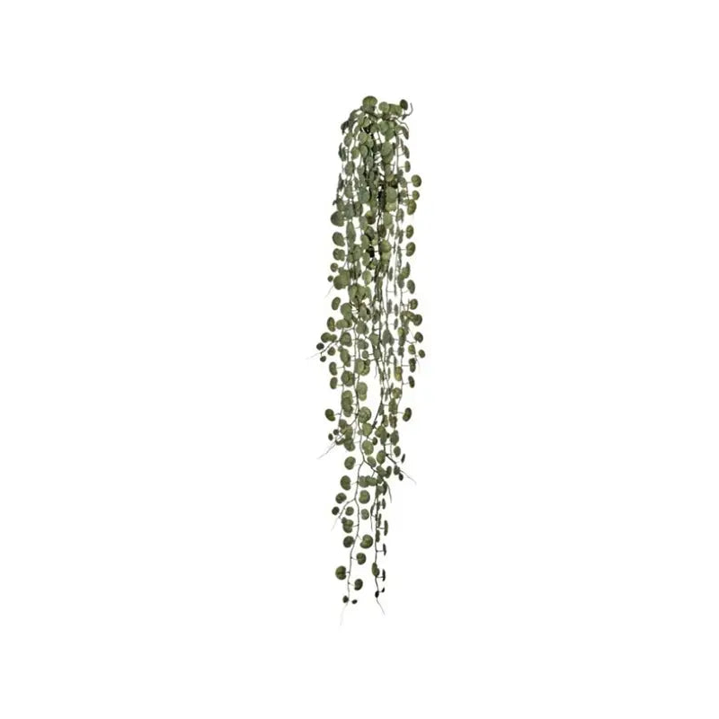 040408060167