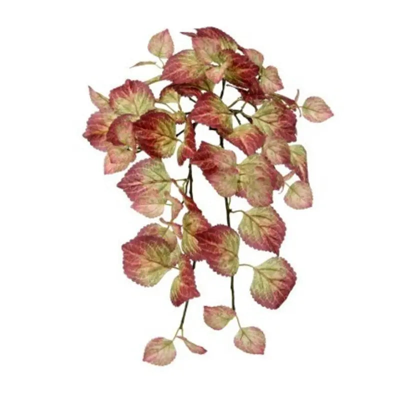 040408060250