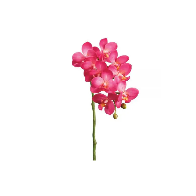 040409020113