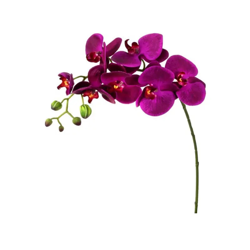 040409020154
