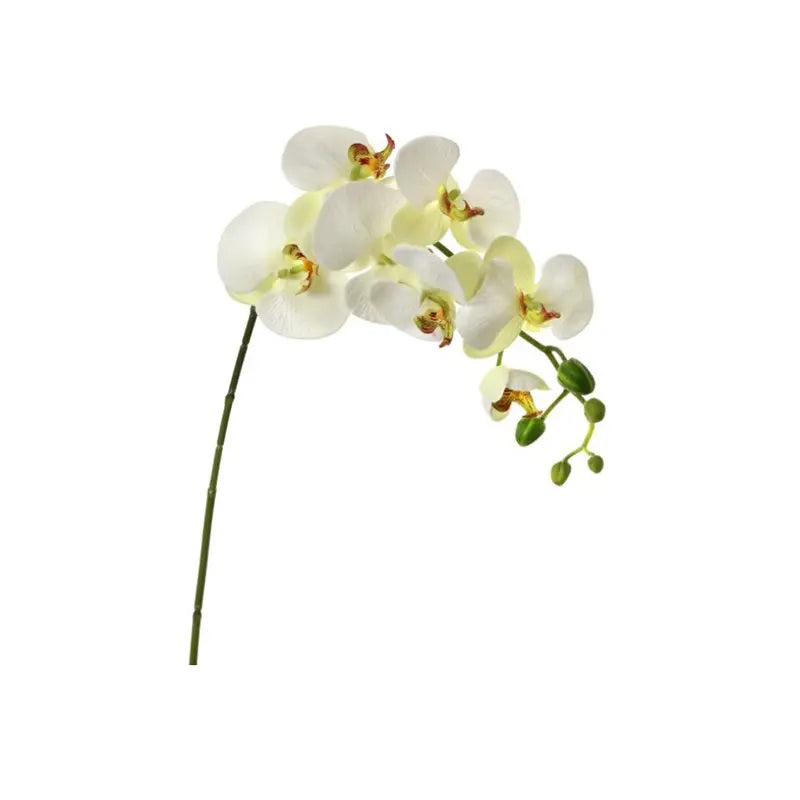 040409020161