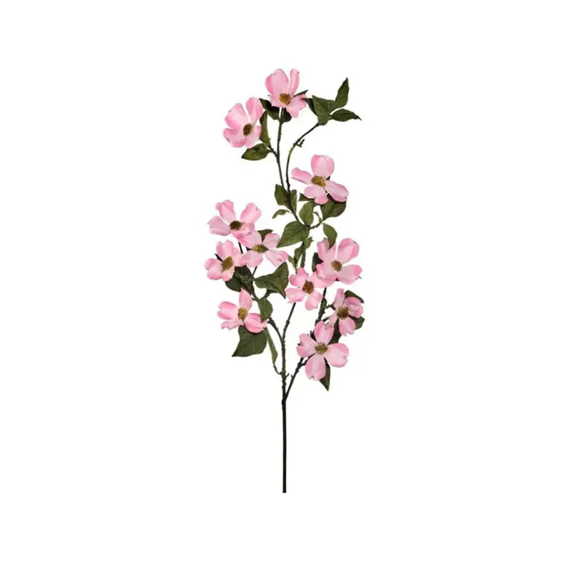 040409020247