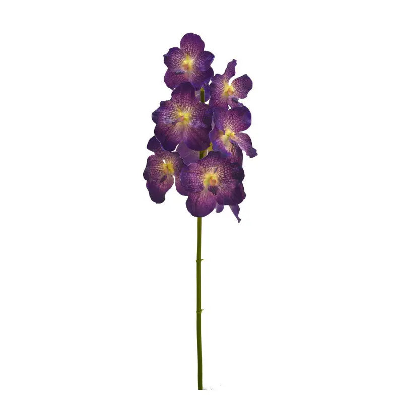040409020418