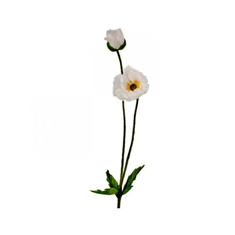 040409020438