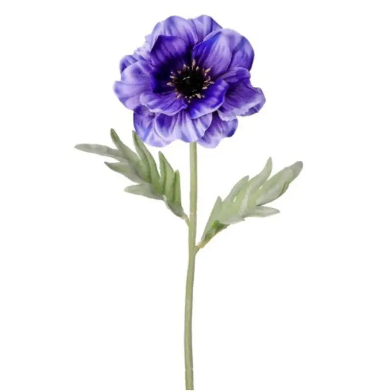 040409020439