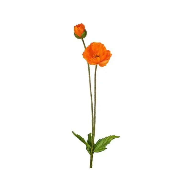 040409020442