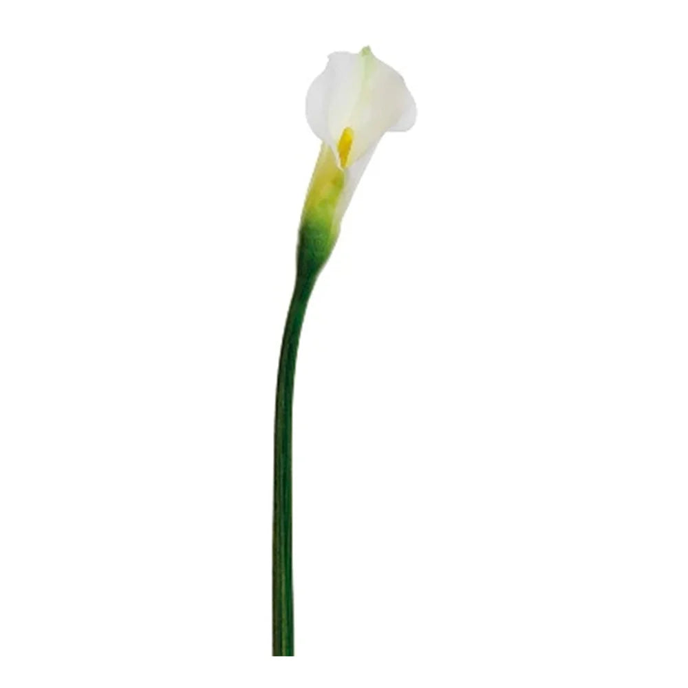 040409020540