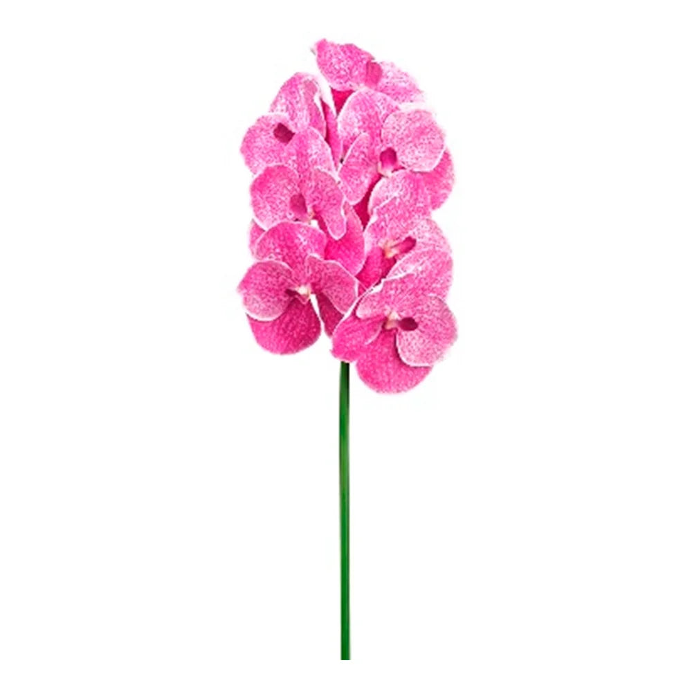 040409020565