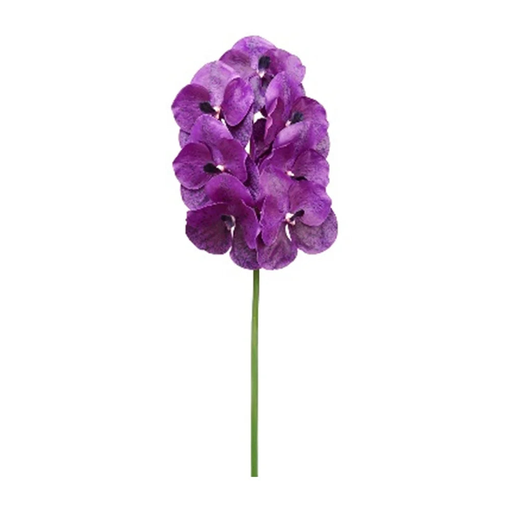 040409020566