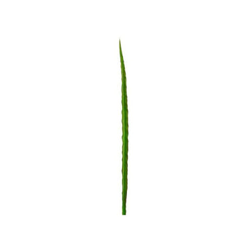 040409040131