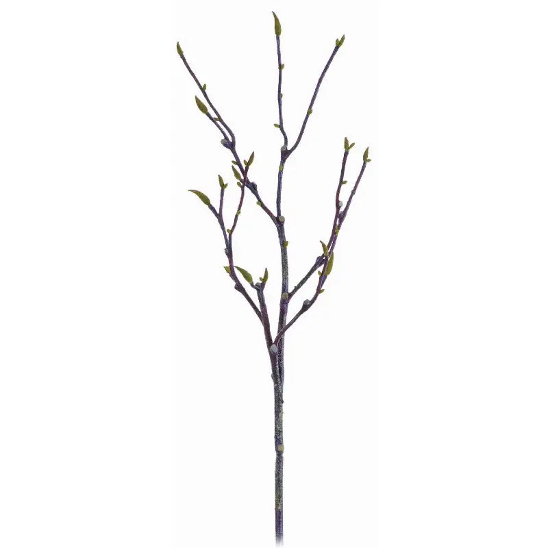 040409040179