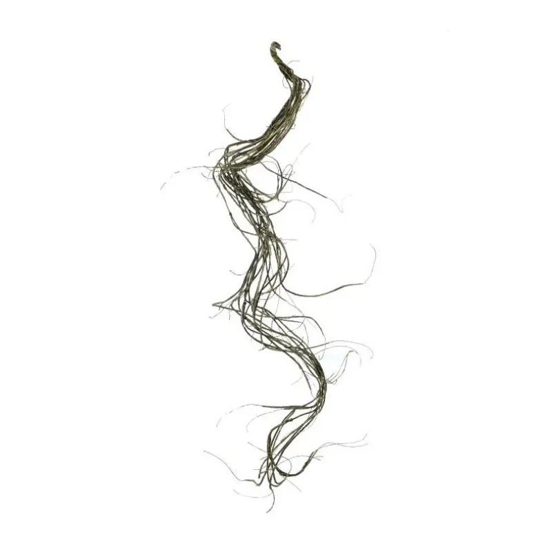 040409040236