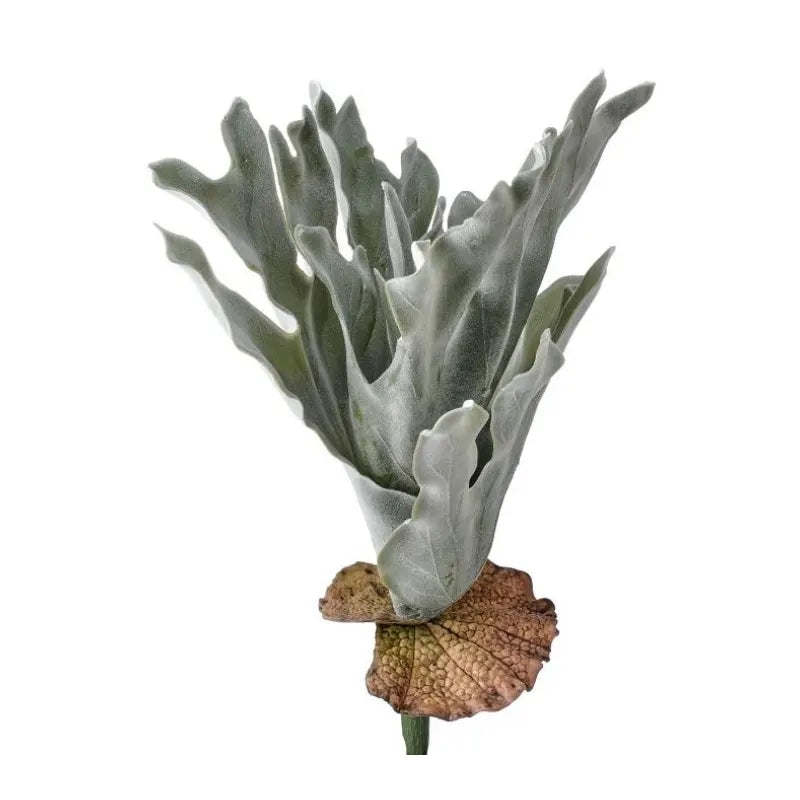 040409040256