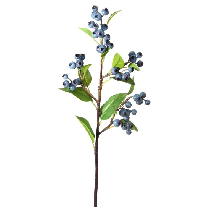 040409040271
