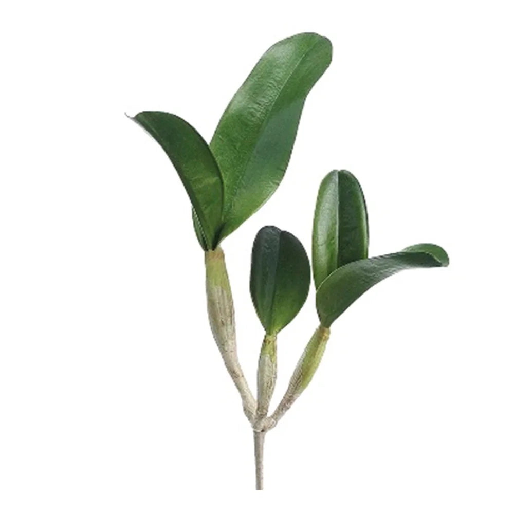 040409040294