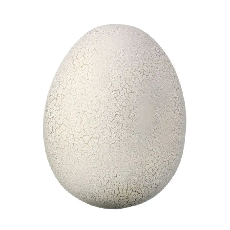 080402010152