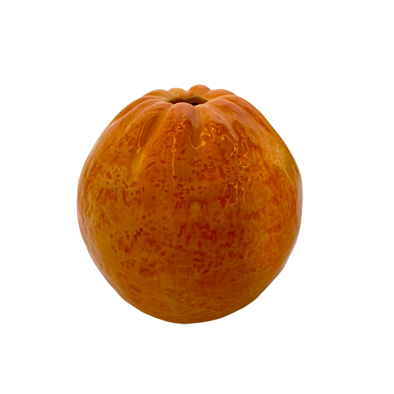 090402040002