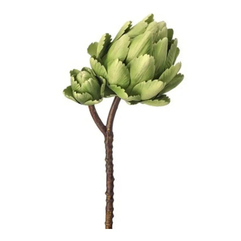 090409020011