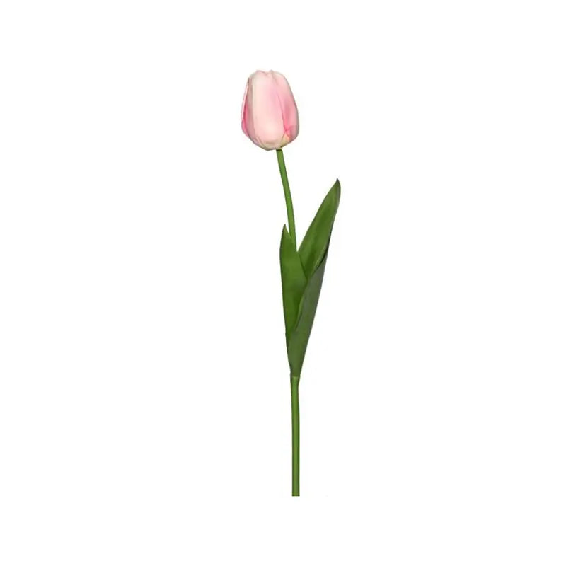 090409020031