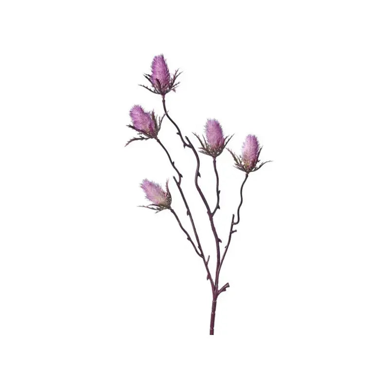 090409020034