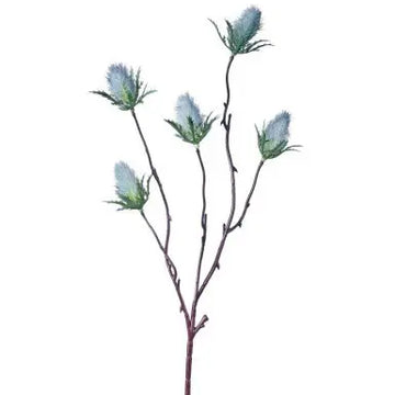 090409020060