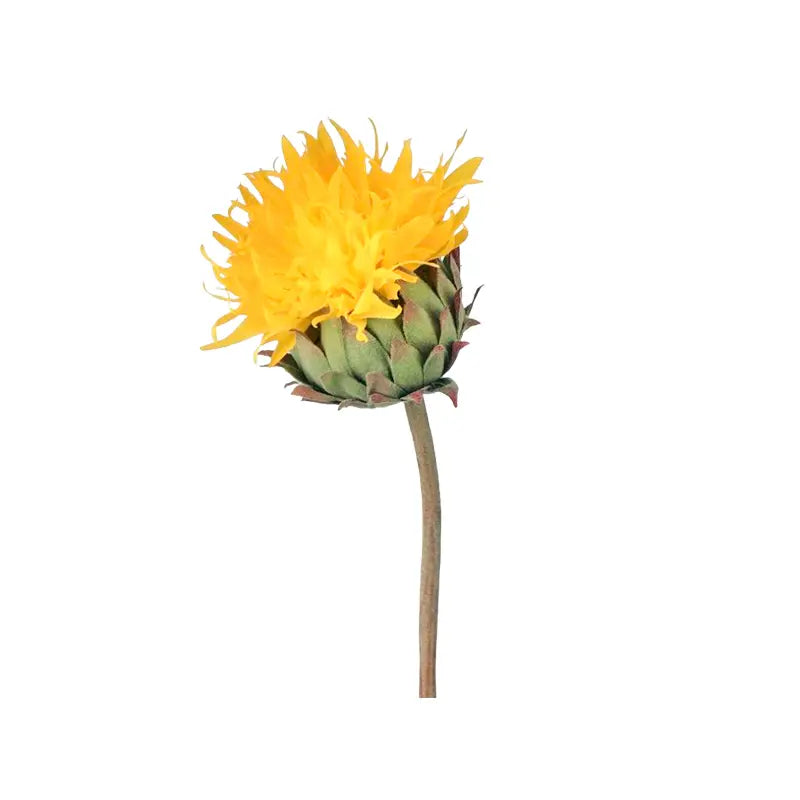 090409020125