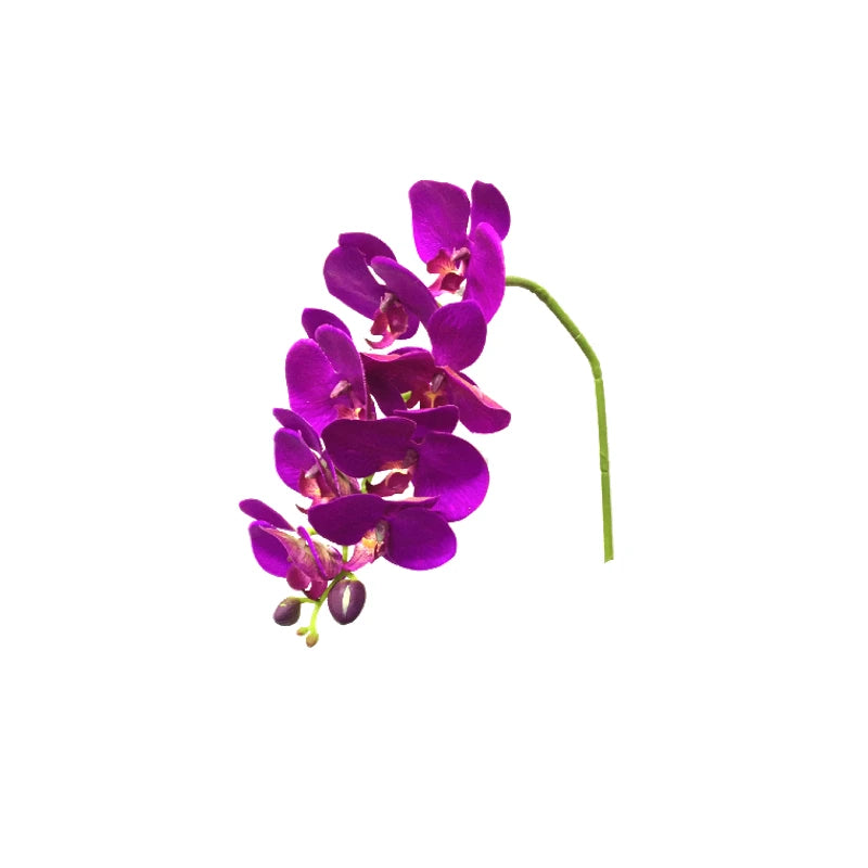 090409020127