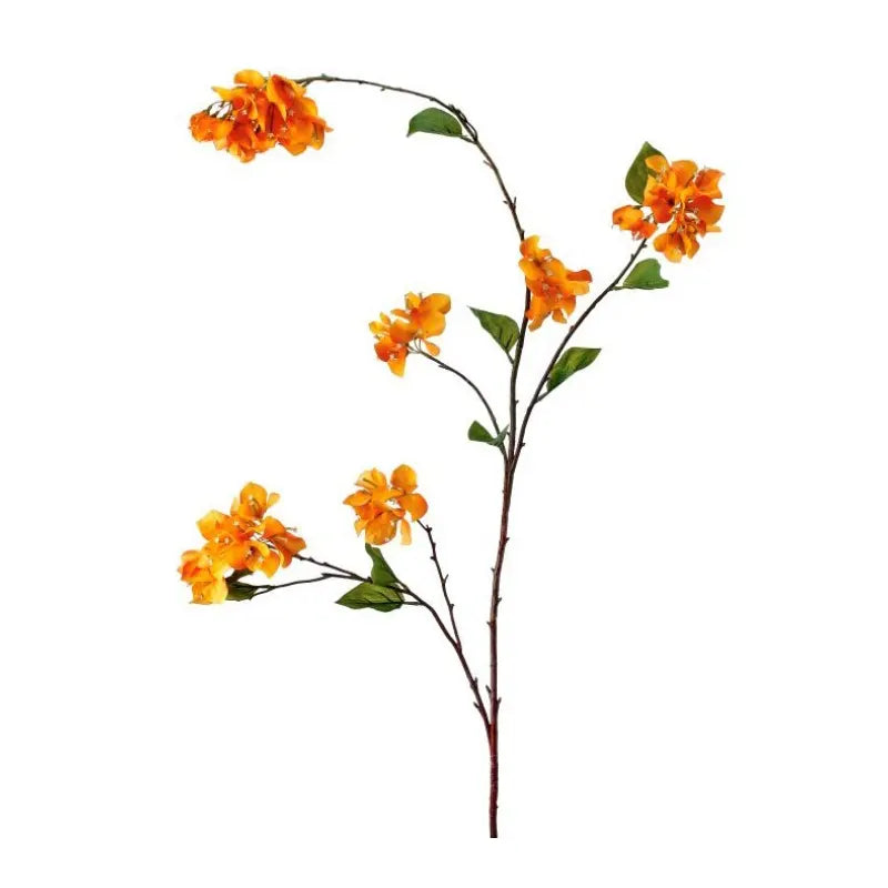 090409020165