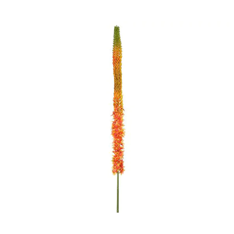 090409020176