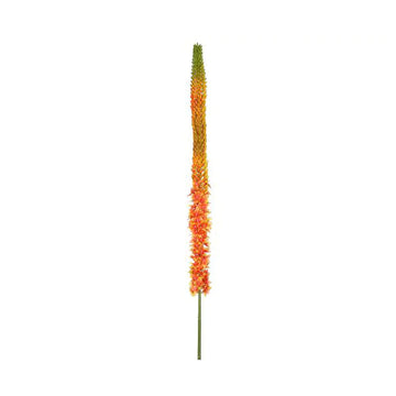 090409020176