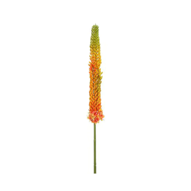 090409020176