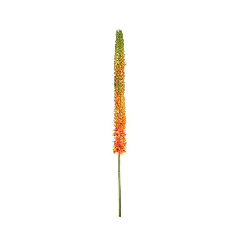 090409020178