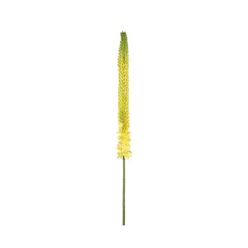 090409020179