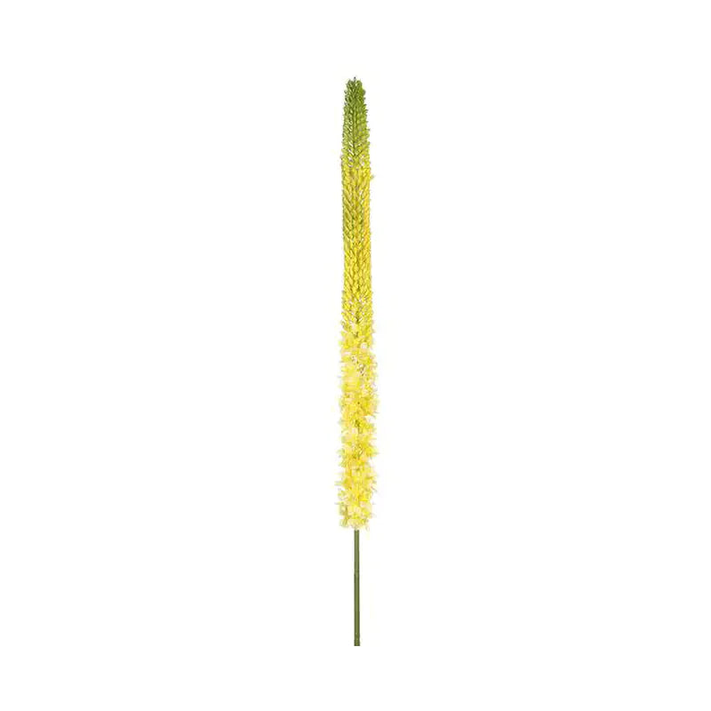 090409020180