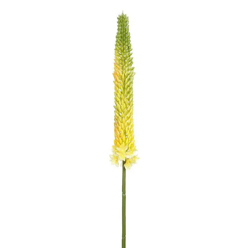 090409020181