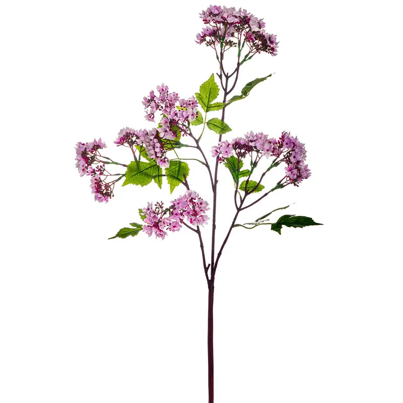 090409020190