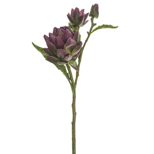 90409020194