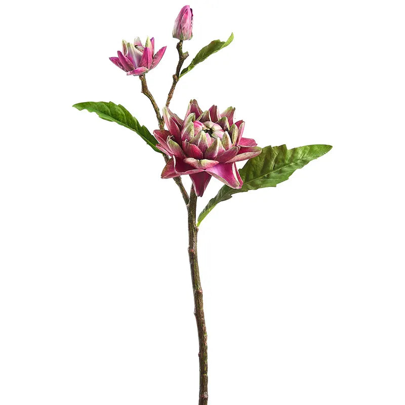 090409020196