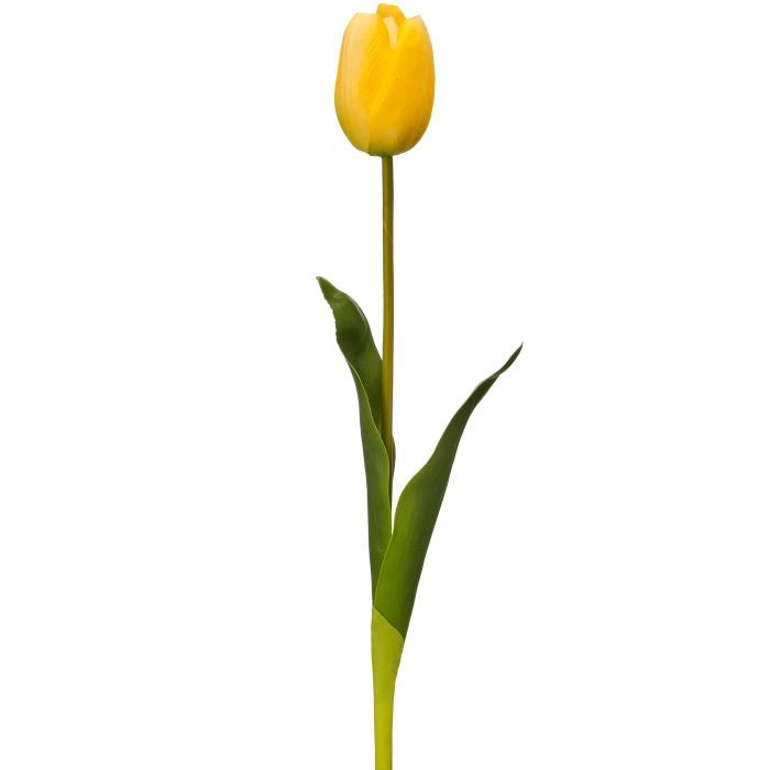 090409020031