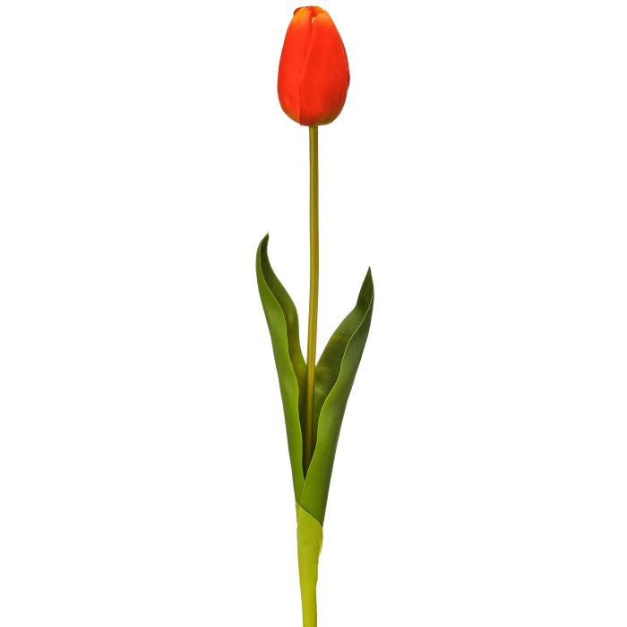 090409020219