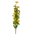 90409040045