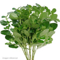 Brillantina Natural Verde - Manojo completo