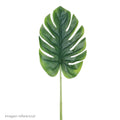 Hoja Monstera Natural Grande