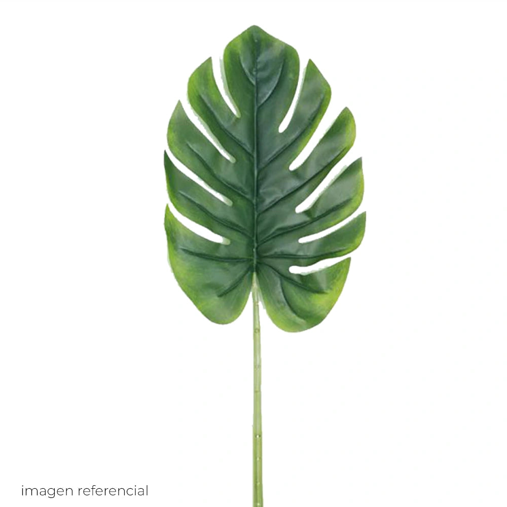 Hoja Monstera Natural Mediana