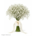 Gypso Blanco Natural Manojo Completo