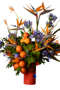 Arreglo Floral Natural Naranja – Ave del Paraíso, Avecillas, Pompones Verdes y Naranjas