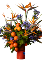 Arreglo Floral Natural Naranja – Ave del Paraíso, Avecillas, Pompones Verdes y Naranjas