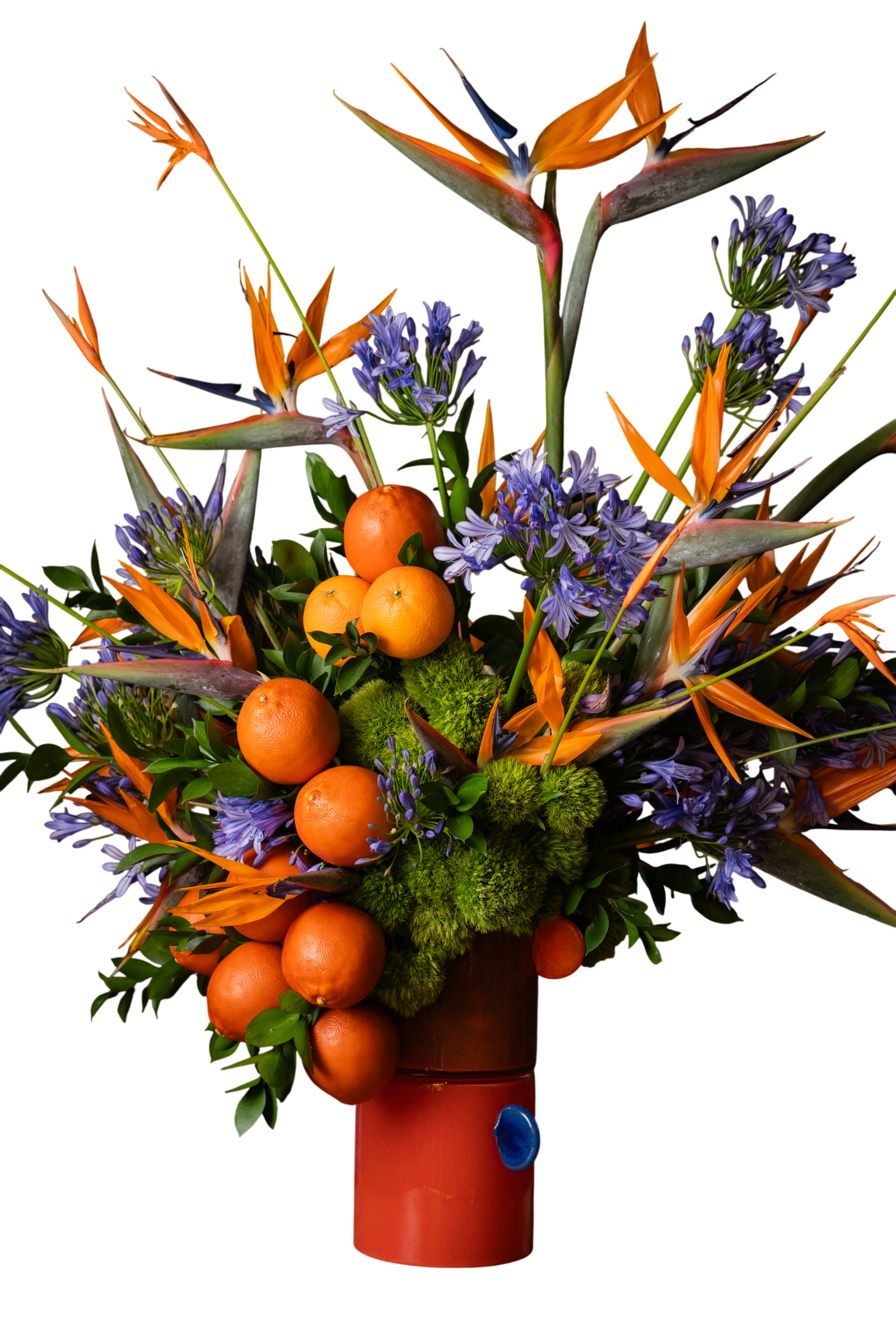 Arreglo Floral Natural Naranja – Ave del Paraíso, Avecillas, Pompones Verdes y Naranjas