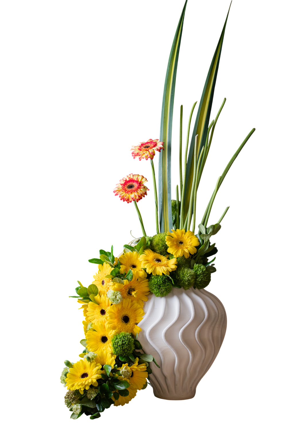 Arreglo Floral Natural Vértice – Gerberas, Green Ball y Pandano Base porcelana 3D